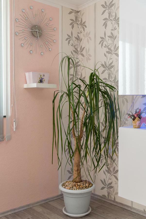 Apartment Danijela II Šibenik Екстериор снимка